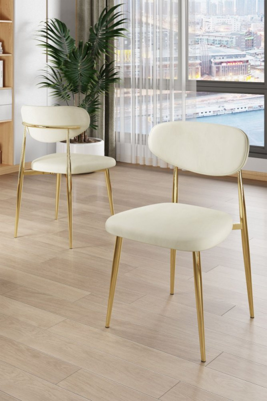 Sada židlí (4 kusy) Vina - Cream, Gold