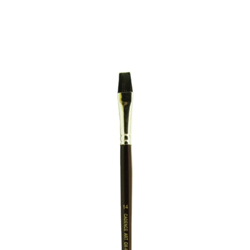 Cadence Plochý štětec Cadence 210 Ox Hair Brush - VYBERTE VELIKOST - Plochý štětec Cadence 210 Ox Hair Brush - vel. 14