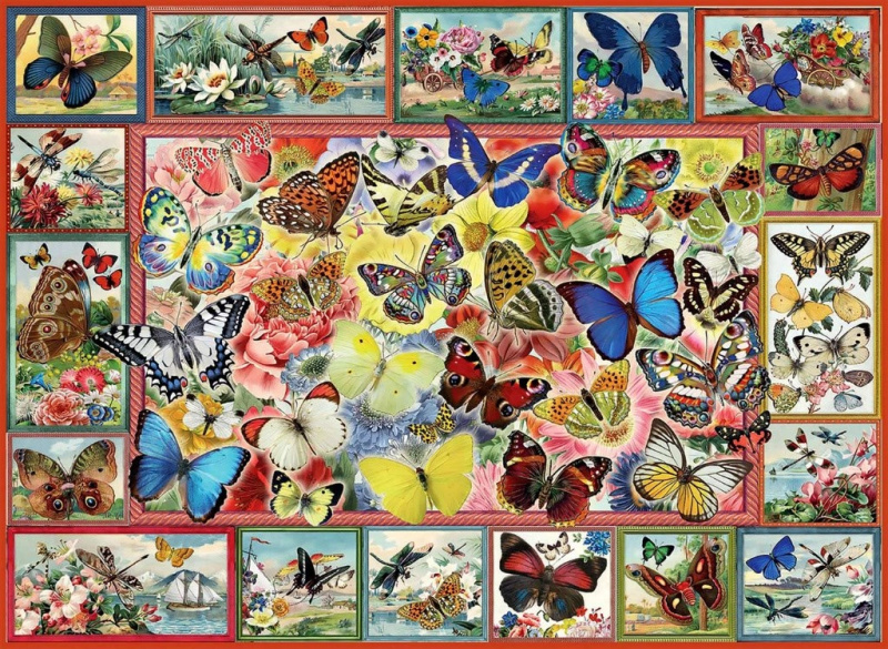 ANATOLIAN Puzzle Spousta motýlů 1000 dílků