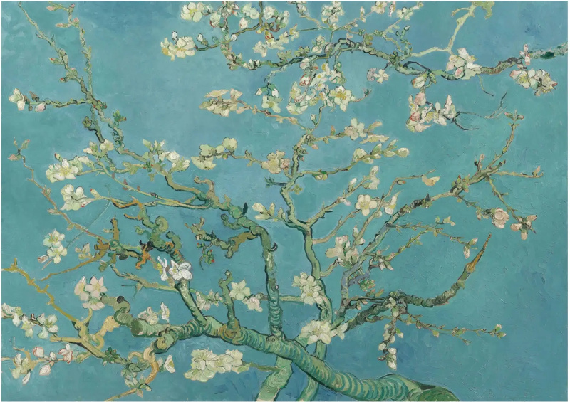 Puzzle mandlový květ XL 700 dílků ANATOLIAN