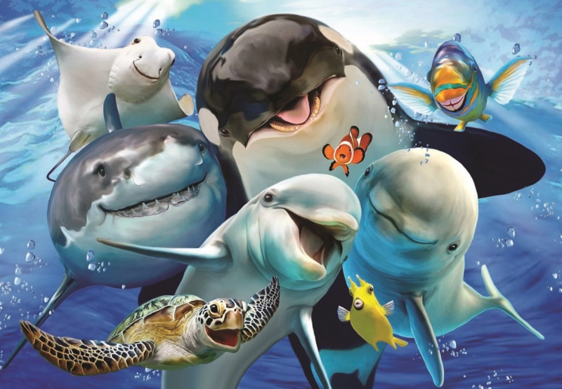 ANATOLIAN Puzzle Mořská selfie 500 dílků