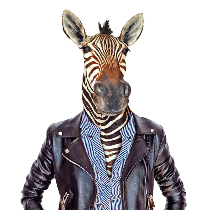 Nažehlovací nálepka zebra - 21 x 30 cm Aladine