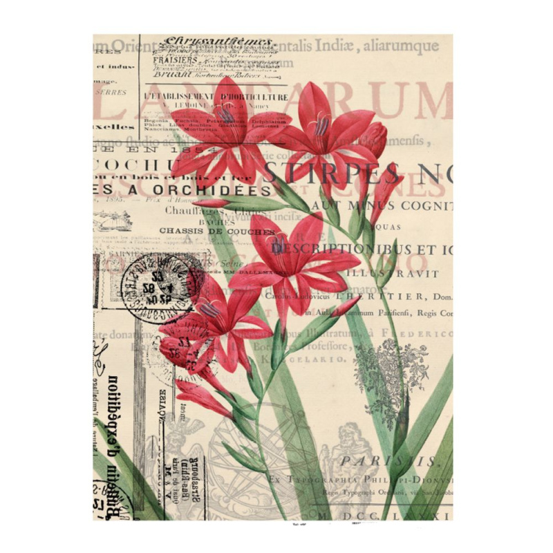 Cadence Rýžový papír Cadence, A4 - Orchideje