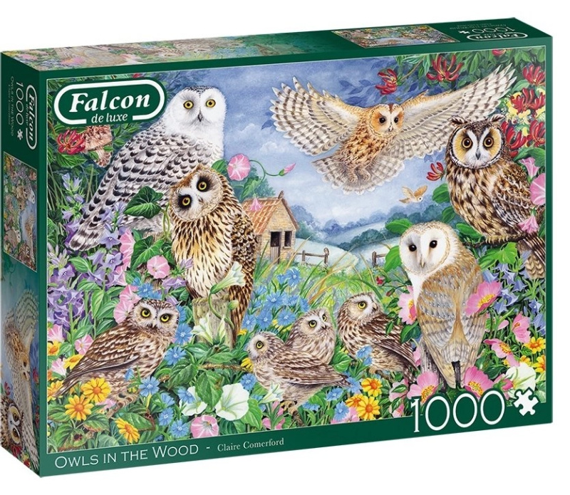 Falcon Sovy v lese 1000 dílků
