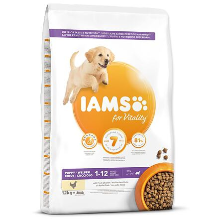 IAMS Dog Puppy Large Chicken 12 kg