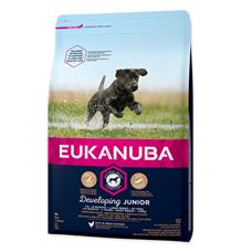 EUKANUBA Junior Large 15 kg