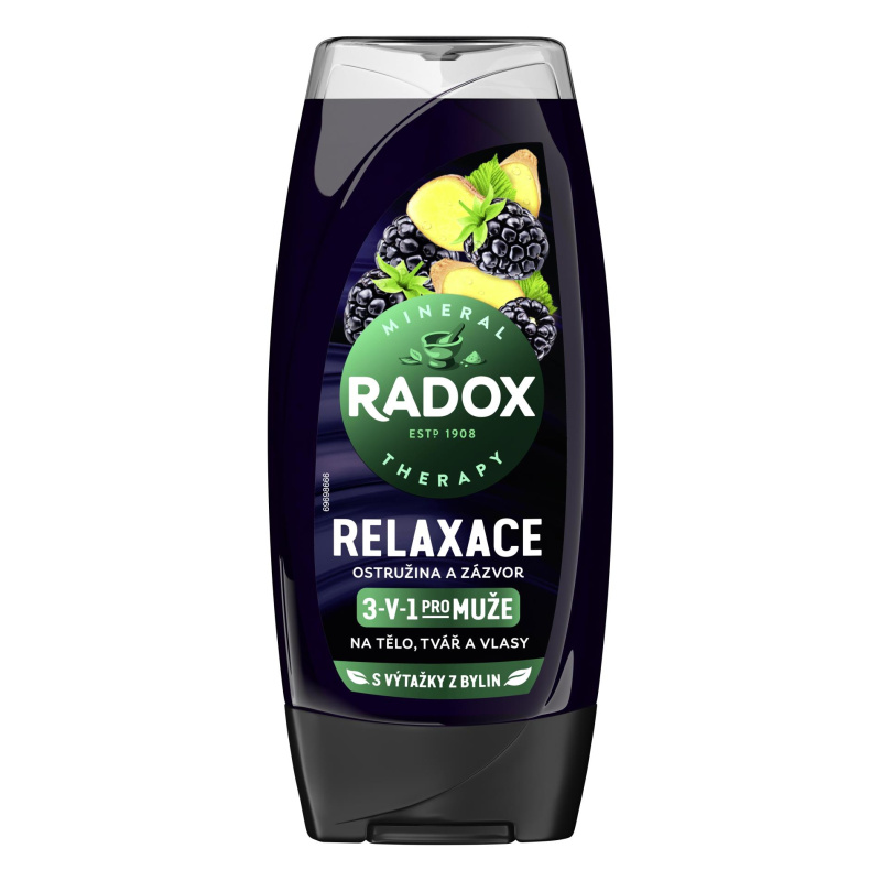 Sprchový gel Radox Men 3v1 - ostružina a zázvor, 250 ml