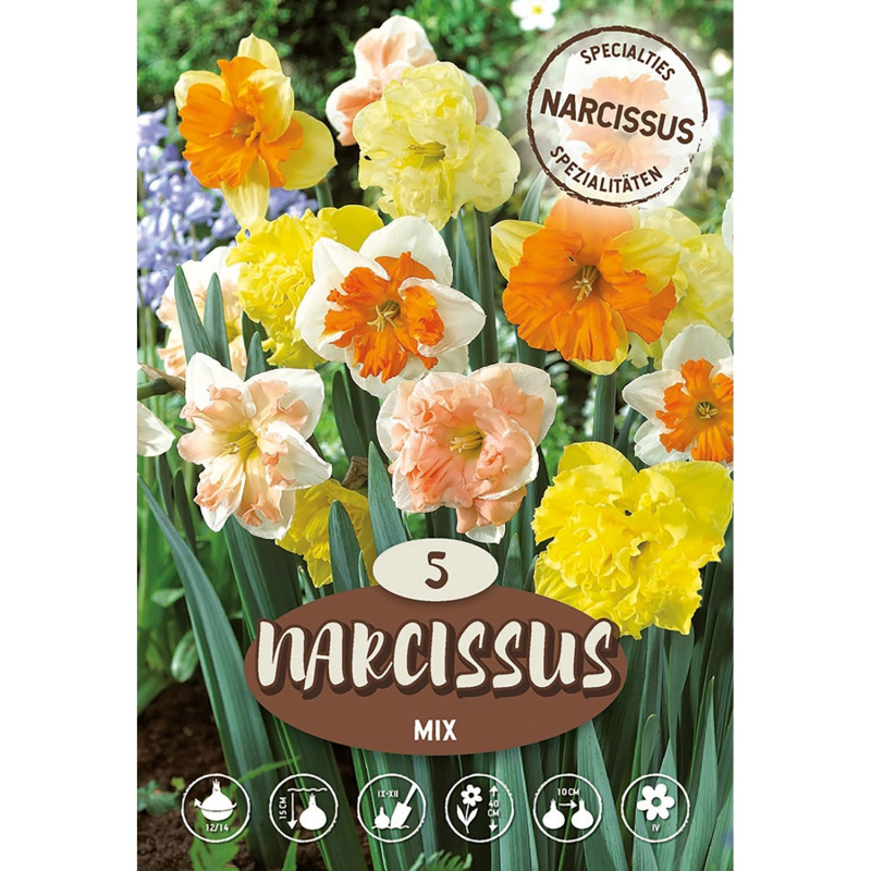 Narcisy Split Mix