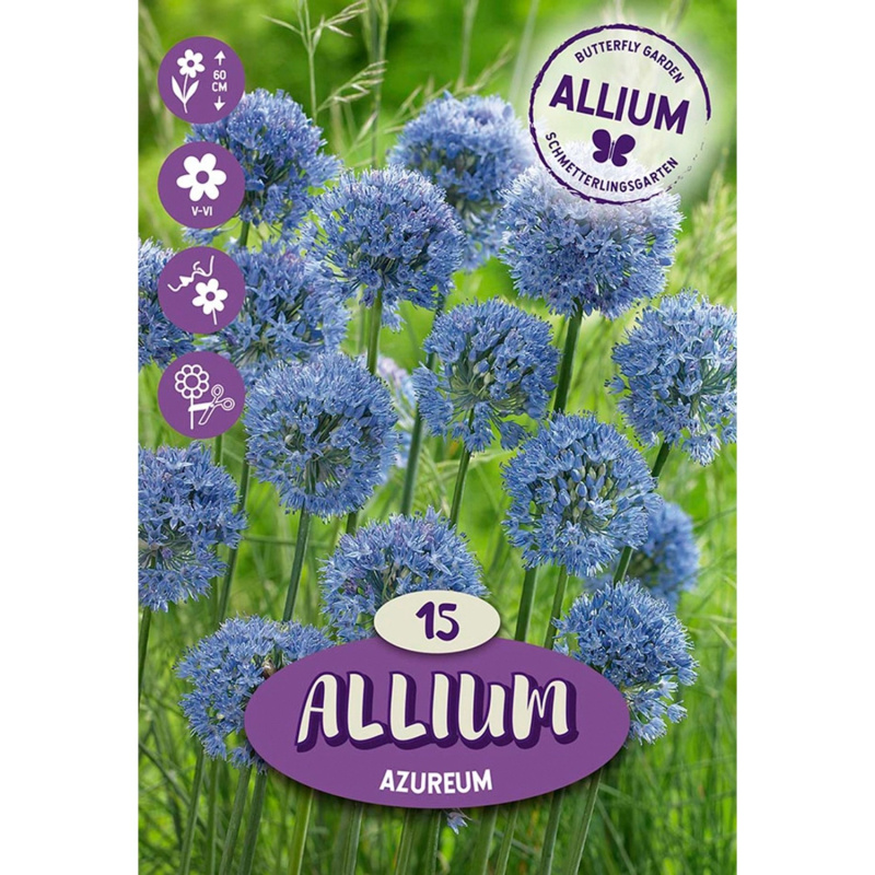 Royal De Ree Holland Květinové cibulky česnek (Allium) "Azureum" 15 ks