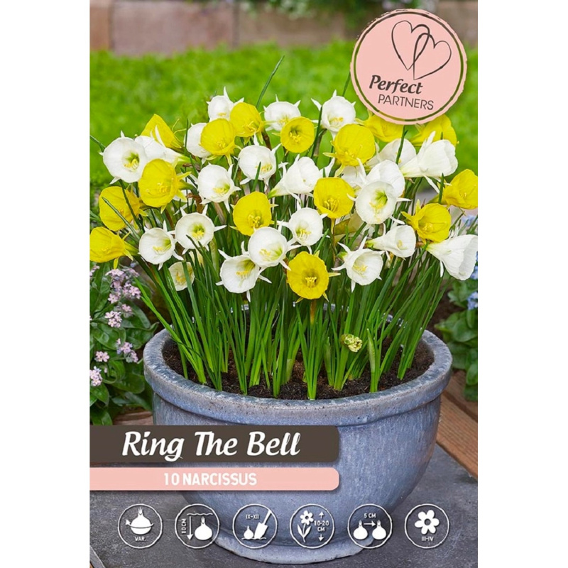 Narcis "Ring the Bell" mix