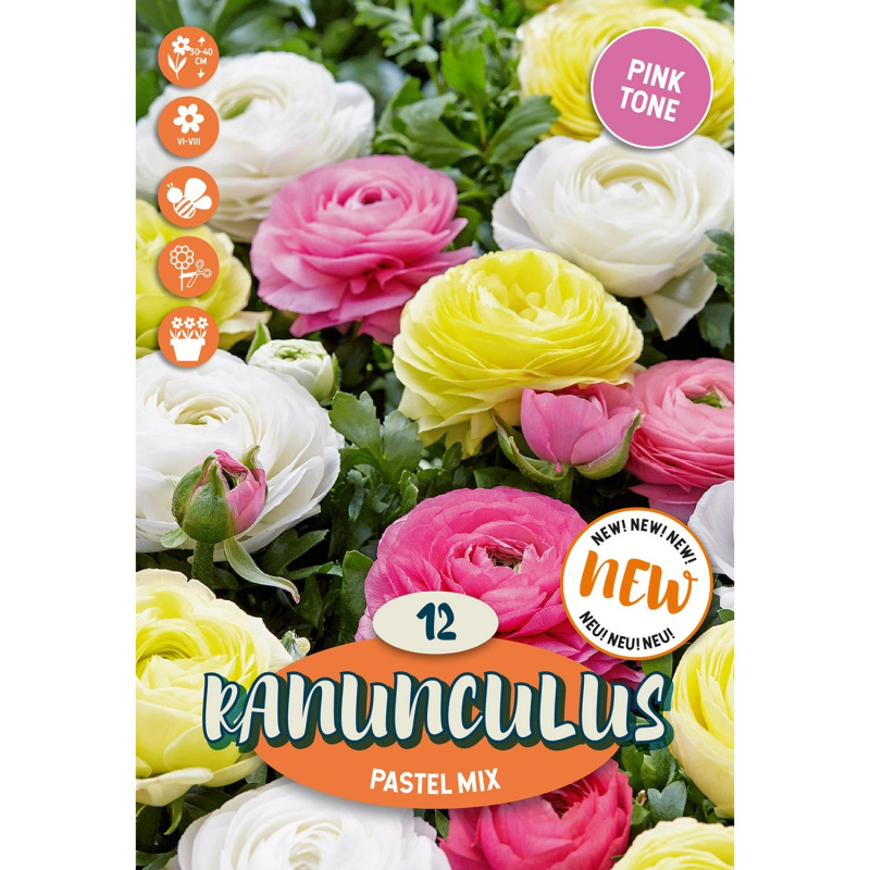 Royal De Ree Holland Květinové cibulky Ranunculus Pastel Mix 12 ks