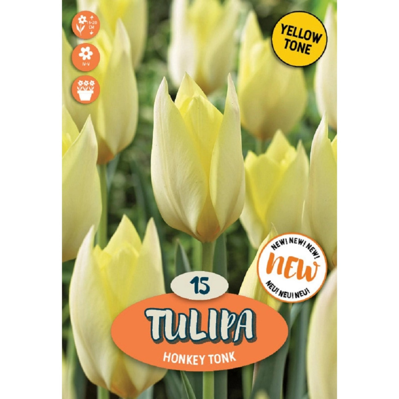 Royal De Ree Holland Květinové cibulky Tulipán Honkey Tonk