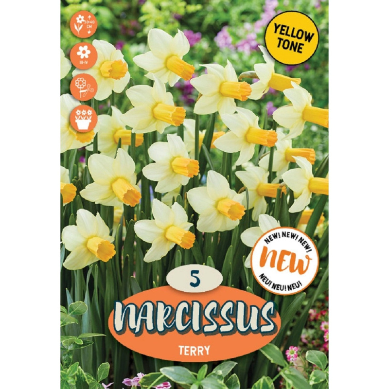 Royal De Ree Holland Květinové cibulky Narcis Terry