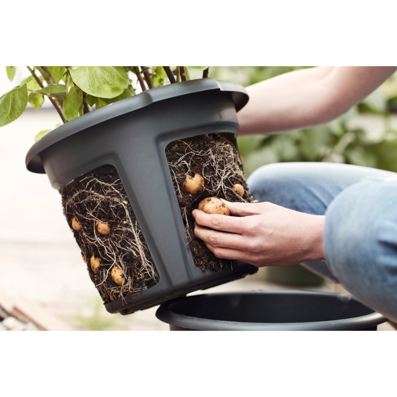elho Květináč Green Basics na brambory černý, pr. 32 x 26 cm