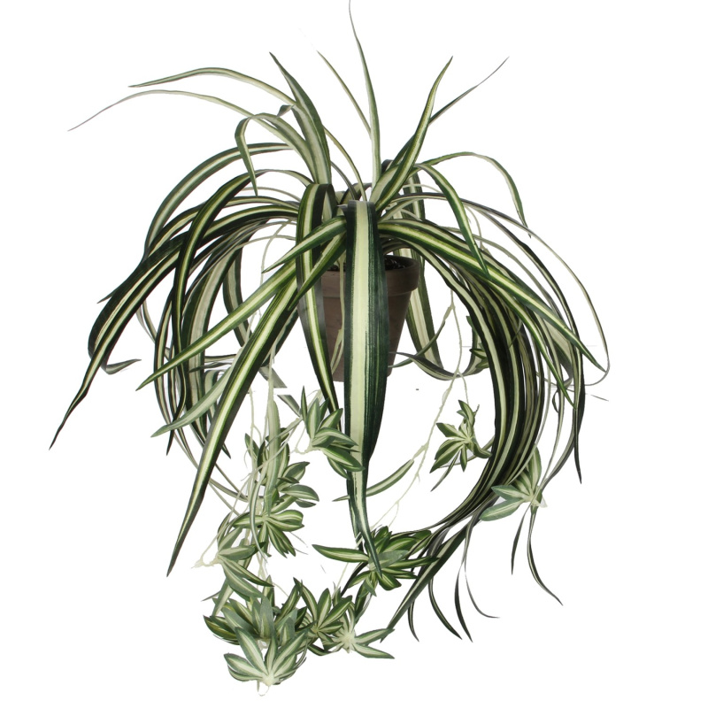 Mica Decorations Umělá květina Chlorophytum 45 cm