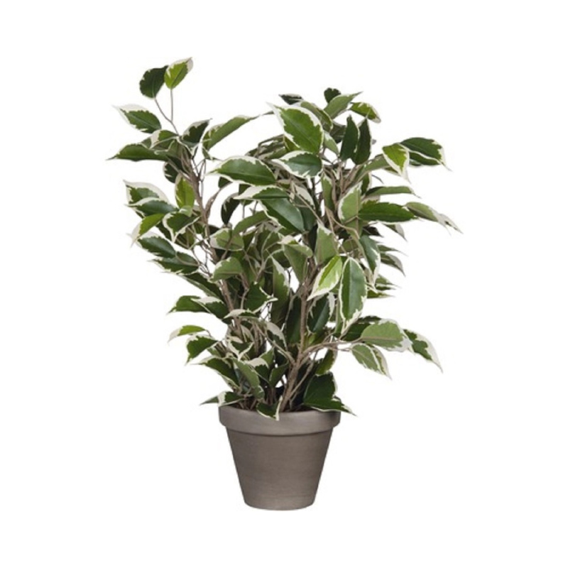 Mica Decorations Umělá květina Ficus Natasaja 40 cm