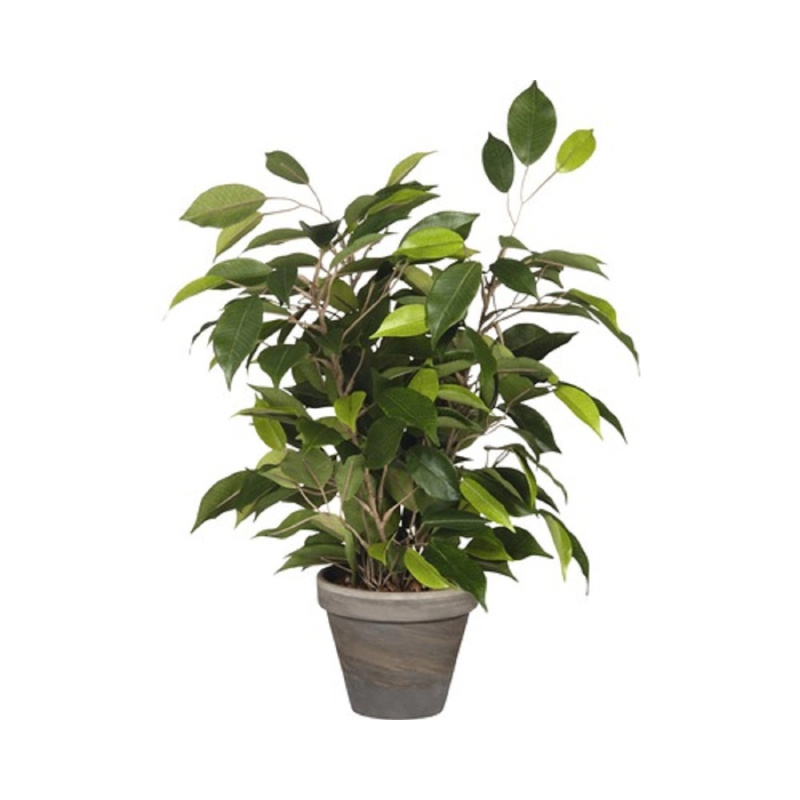 Mica Decorations Umělá květina Ficus Natasaja 40 cm
