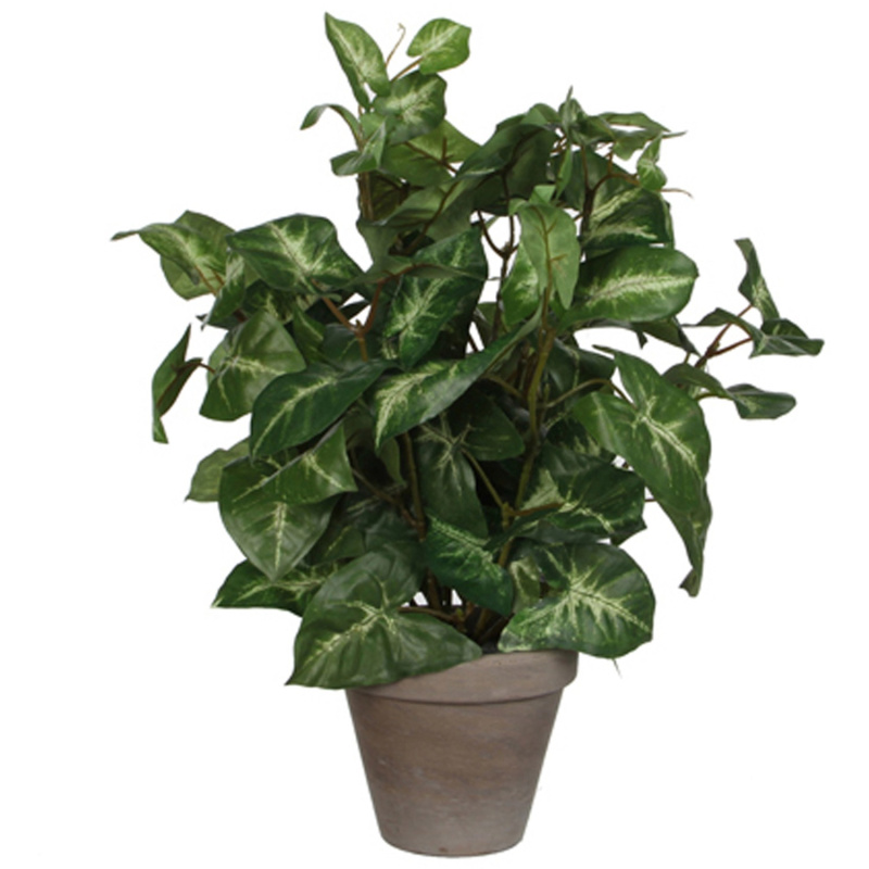 Mica Decorations Umělá rostlina Syngonium v květináči, zelená, pr. 25 x 35 cm