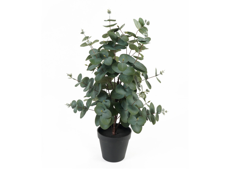 present time Umělý eukalyptus v květináči EDEN, 54 cm zelený