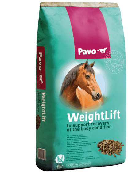 PAVO WeightLift 20 kg