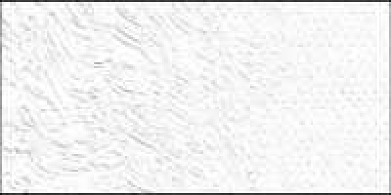 Olejová barva Old Holland 40ml – 001 Titanium White