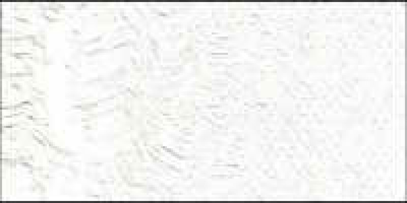 Olejová barva Old Holland 40ml – 002 Zinc White