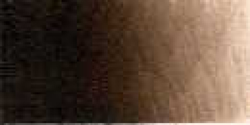 Olejová barva Old Holland 40ml – 070 Burnt Umber