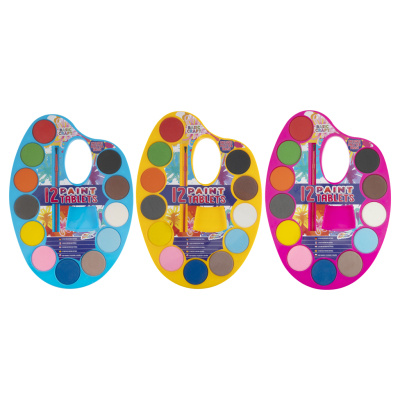 RMS Sada na malování paleta štětec 12 barev