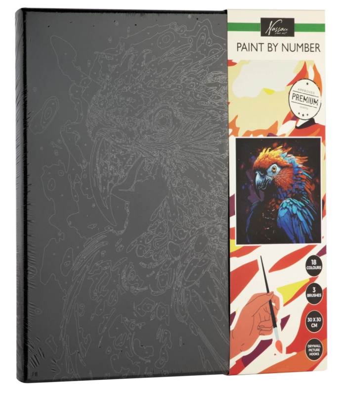 Malování podle čísel na černé plátno papoušek