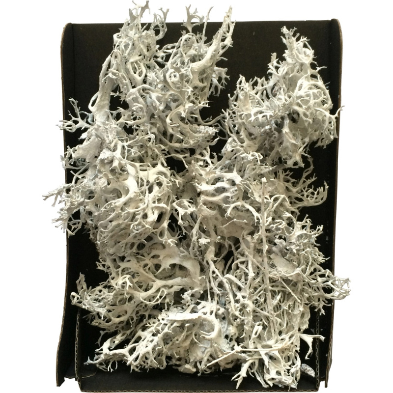 Dekorační mech bílý v černém boxu 22 cm x 15 cm x 5 cm