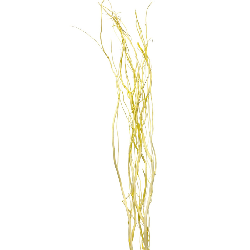 Star Home Decor Vrbové větvičky svazek Salix pastelově žluté 120 cm
