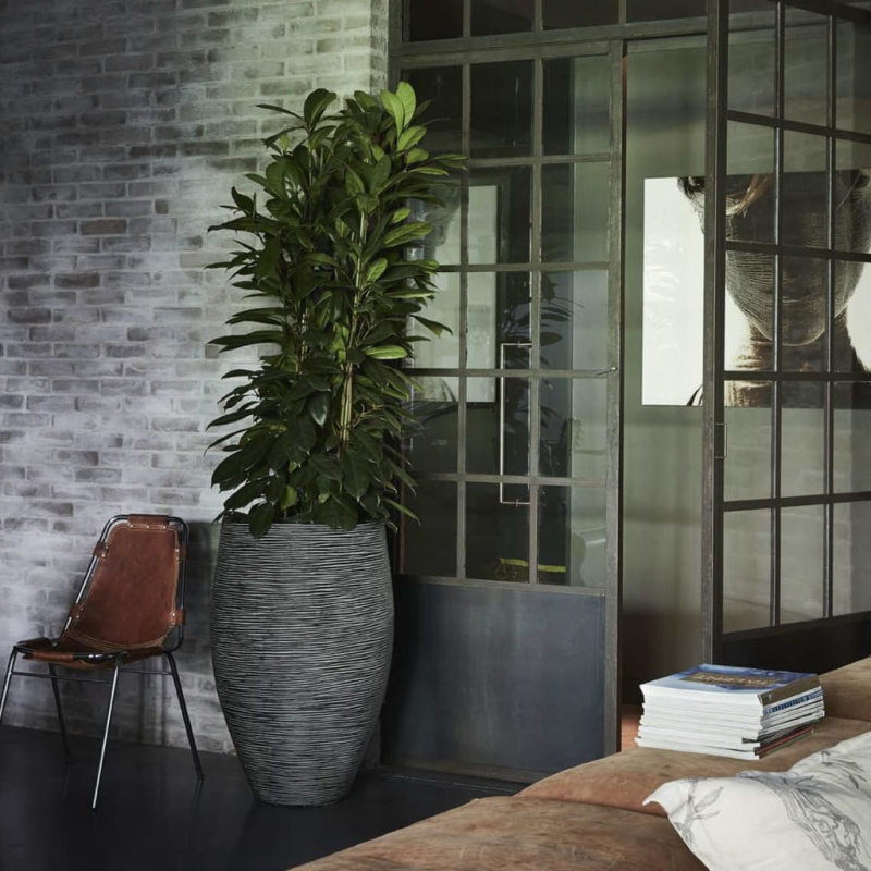 Capi Květináč Nature Rib Elegant Deluxe Antracitový - Černá / 40 x 60 cm