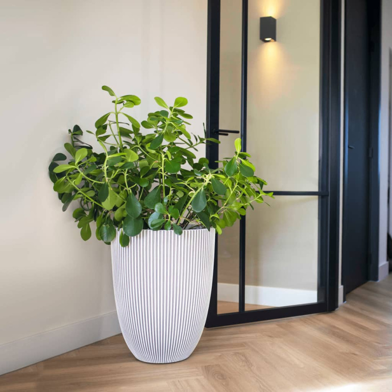 Capi Truhlík Groove 34 X 46 Cm Slonovinový - Černá / Ø 46 x 58 cm