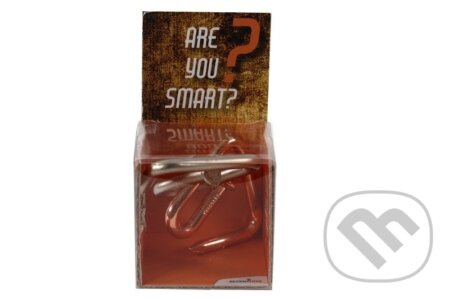 RECENTTOYS Are you Smart
