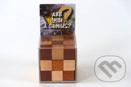 RECENTTOYS Are you a Genius - hlavolam