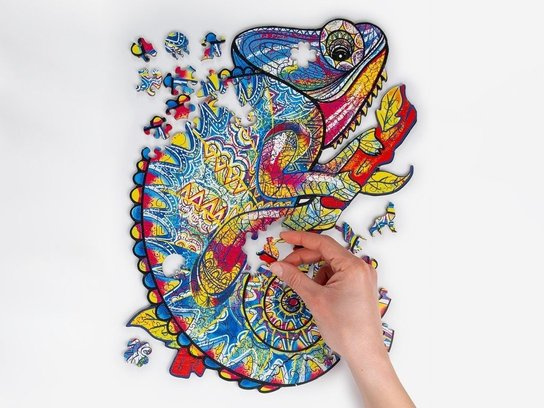 Recenttoys dřevěné puzzle - chameleon