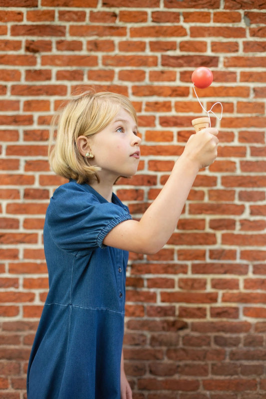BS Toys Kendama zmrzlina