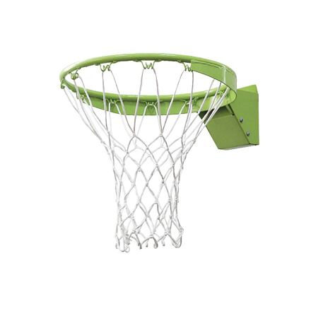EXIT Galaxy Dunk rim + Net