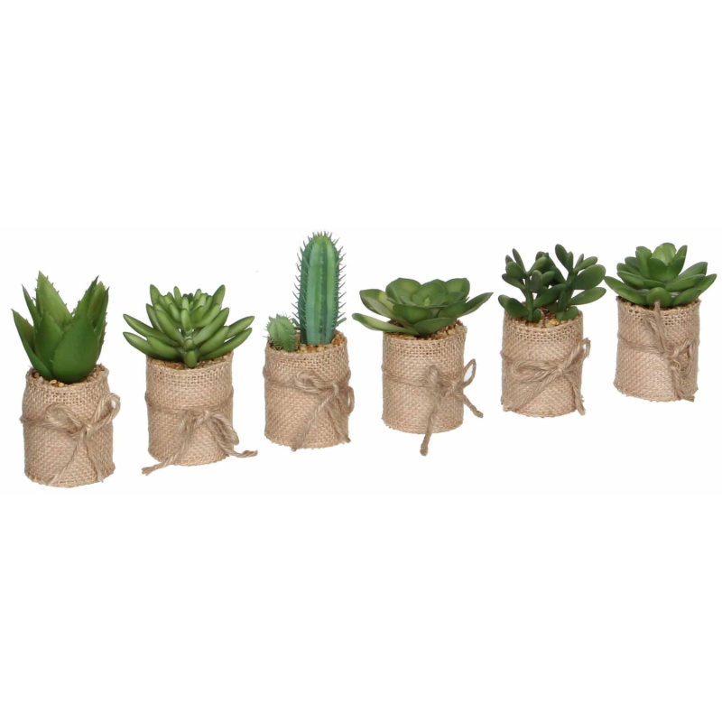 Mica Decorations Umělá rostlina výběr sukulentů v květin., zelená, pr. 5 x 12 cm