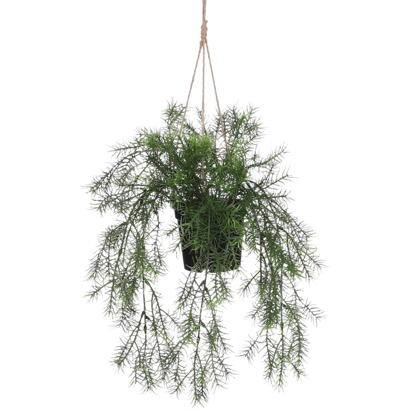 Mica Decorations Umělá rostlina Springeria v květináči, zelená, 40 x 20 cm