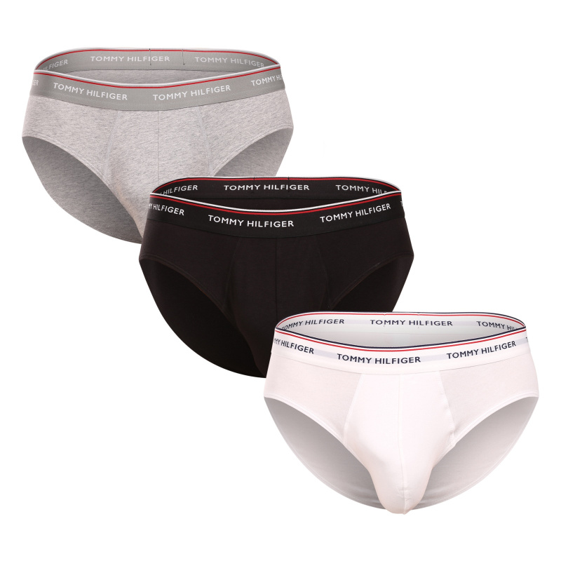 3PACK pánské slipy Tommy Hilfiger vícebarevné (1U87903766 004) S
