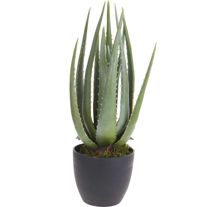 ProGarden Umělá rostlina Aloe, 45 cm zelený 95197