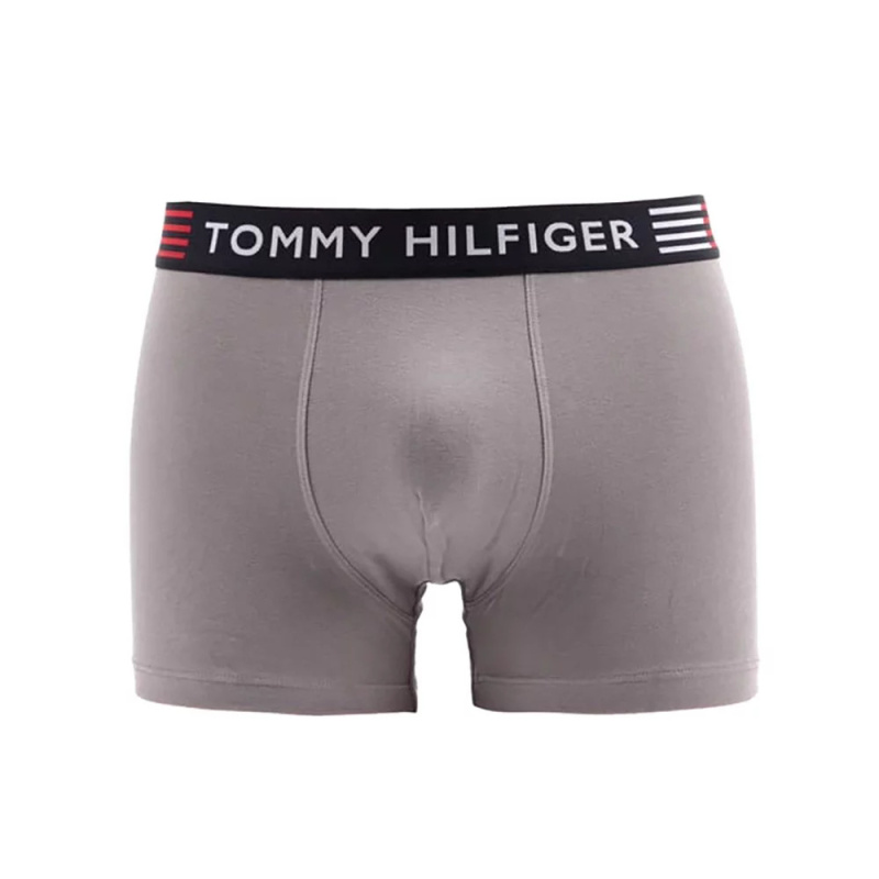 Flex Trunk UM0UM02411-PTM - Tommy Hilfiger L