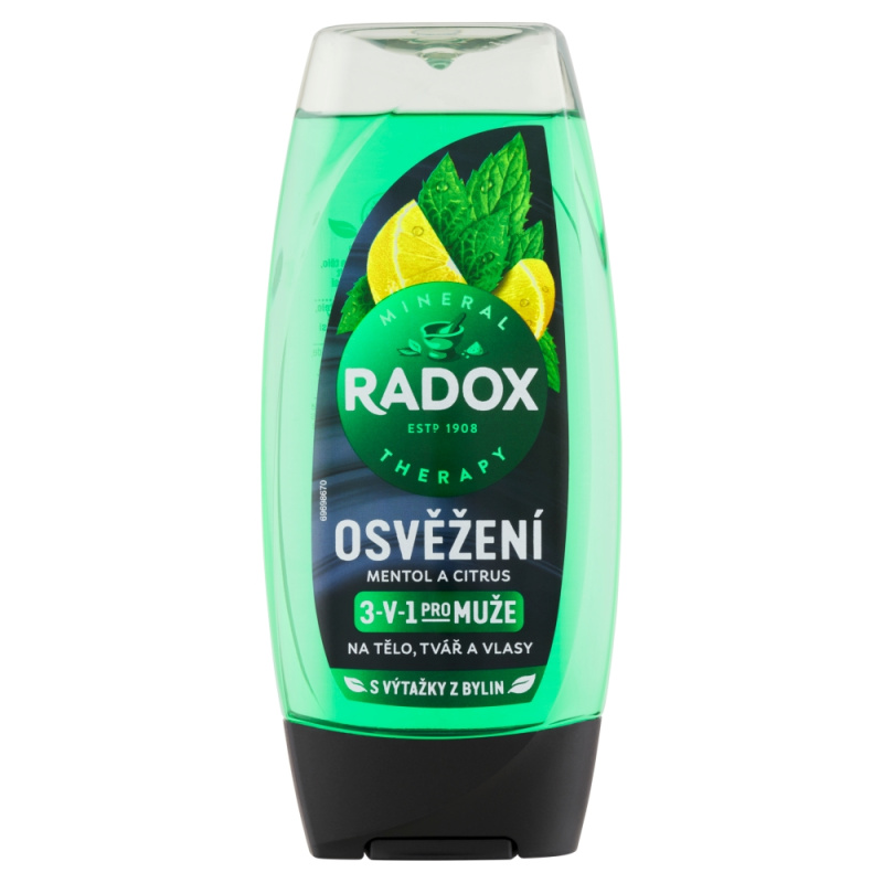 Radox Men Feel Strong sprchový gel a šampon 2 v 1 Mint & Tea Tree 225 ml