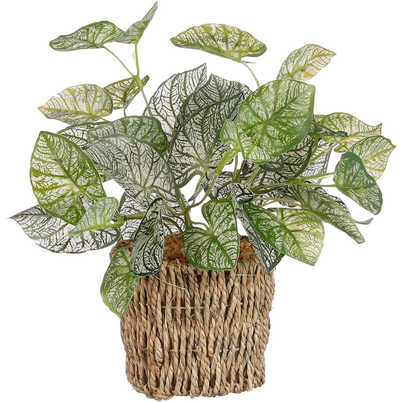 Mica Decorations Umělá begónie v košíčku, pr. 12 x 33 cm