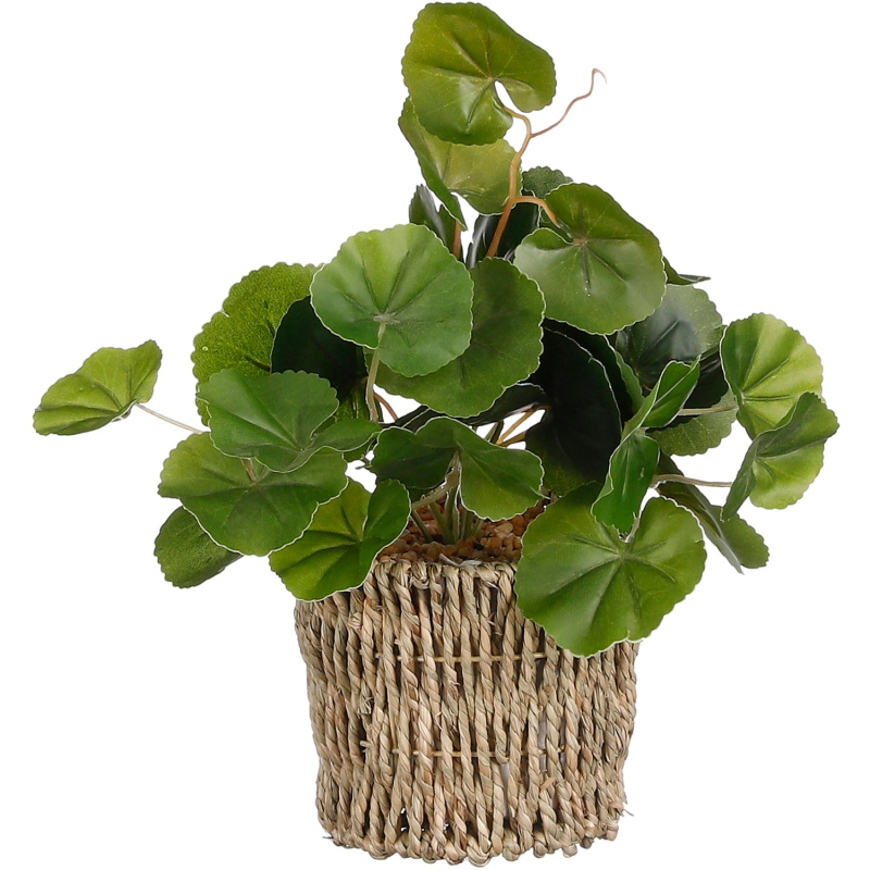 Mica Decorations Umělá pilea v košíčku, pr. 12 x 33 cm
