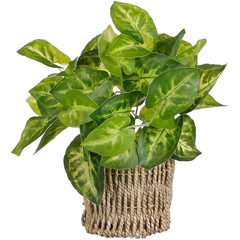 Mica Decorations Umělý Šplhavník v košíku zelený, pr. 12 x 33 cm