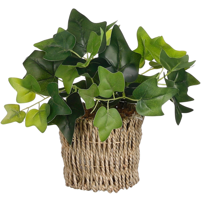 Mica Břečťan v košíku, zelený, 33 x pr. 12 cm