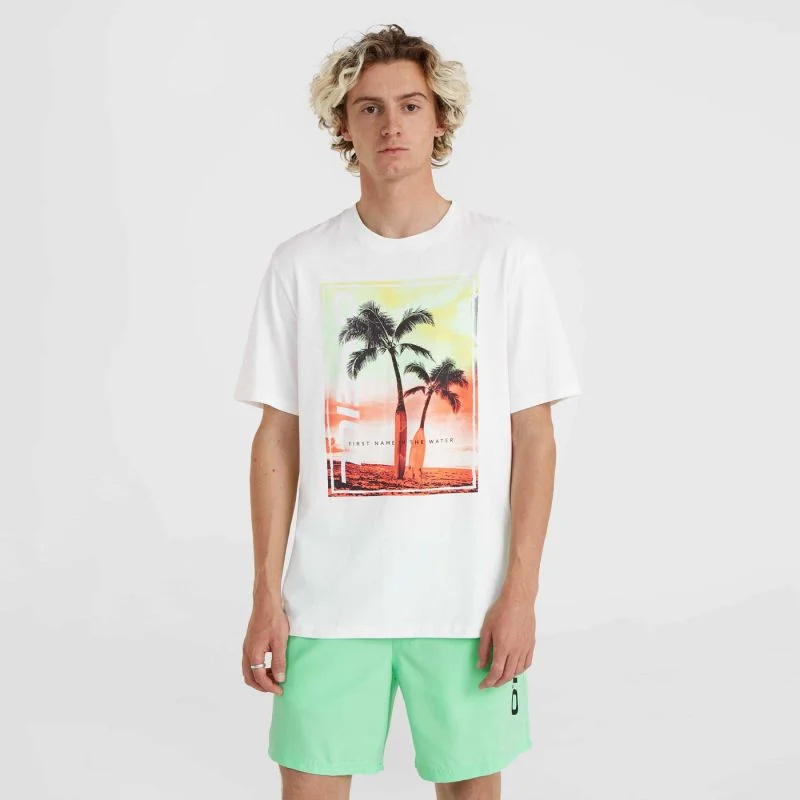 O'Neill Jack Neon T-Shirt M 92800613598 L