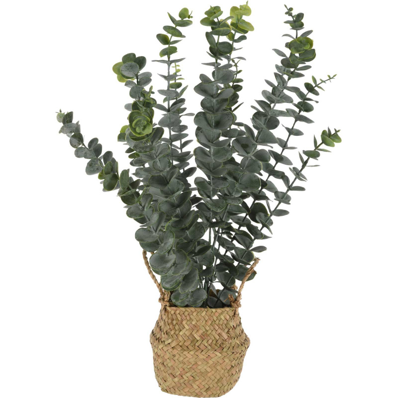 ProGarden Umělá rostlina eukalyptu v košíku, 50 cm zelený